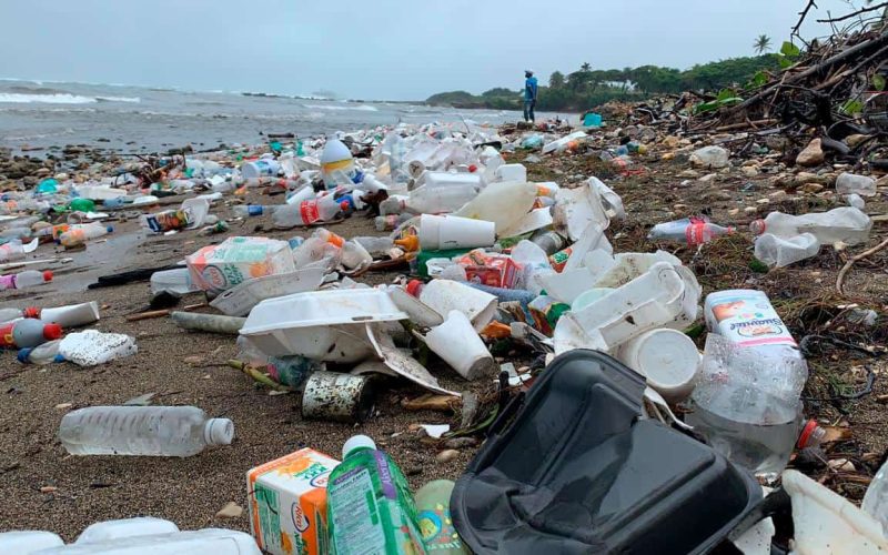 Hoteles de Santo Domingo se comprometen a recolectar y reciclar botellas de plástico