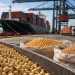 China reducirá aranceles a productos agrícolas de Estados Unidos, pero excluye la soja